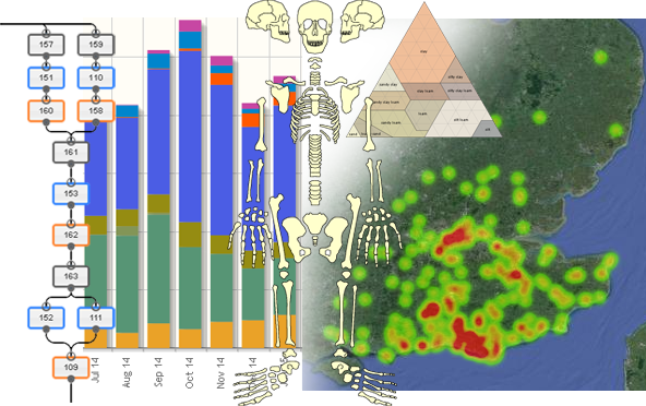 asebase